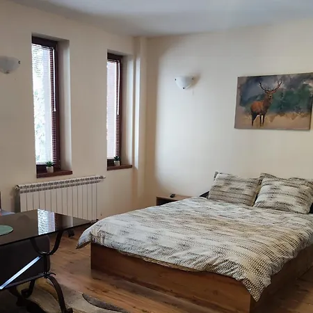 Grand A1 Apartment *