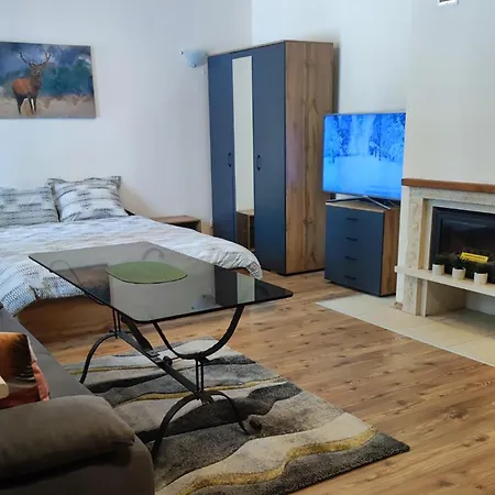 Apartment Grand A1