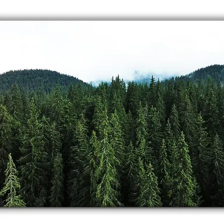 Grand A1 Apartment Pamporovo