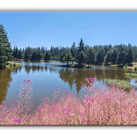 Apartment Grand A1 Pamporovo