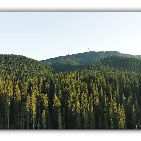 Grand A1 Pamporovo