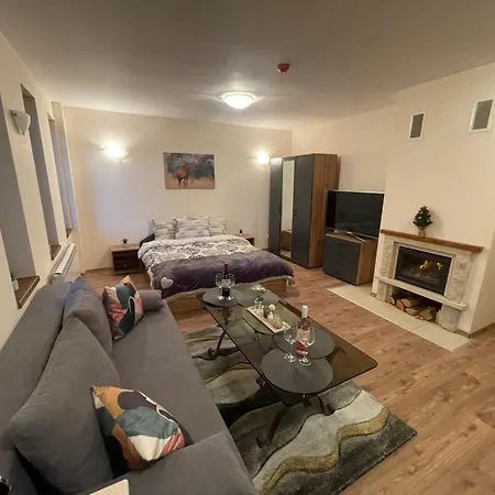 Apartment Grand A1 *
