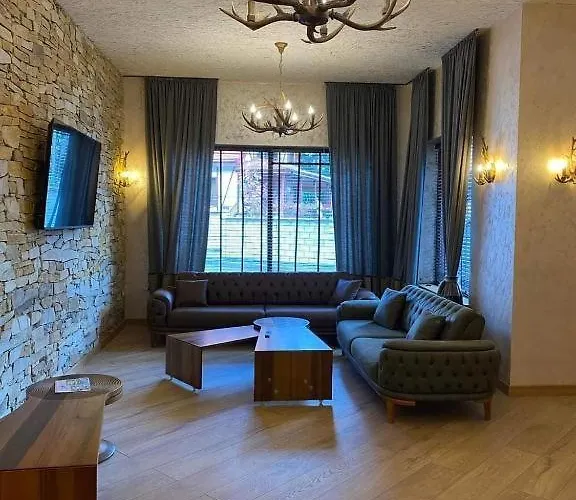 Apartment Grand A1 *