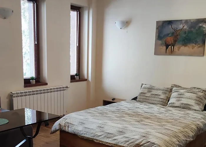 Grand A1 Apartment *