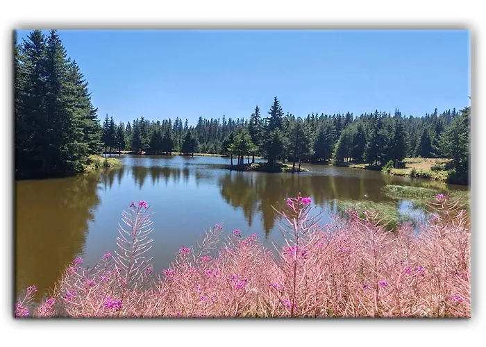 Apartment Grand A1 Pamporovo